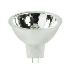FER 1000w120v Halogen Lamp